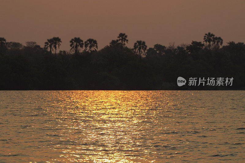 炙热的映像在赞比西河日落与棕榈树非洲