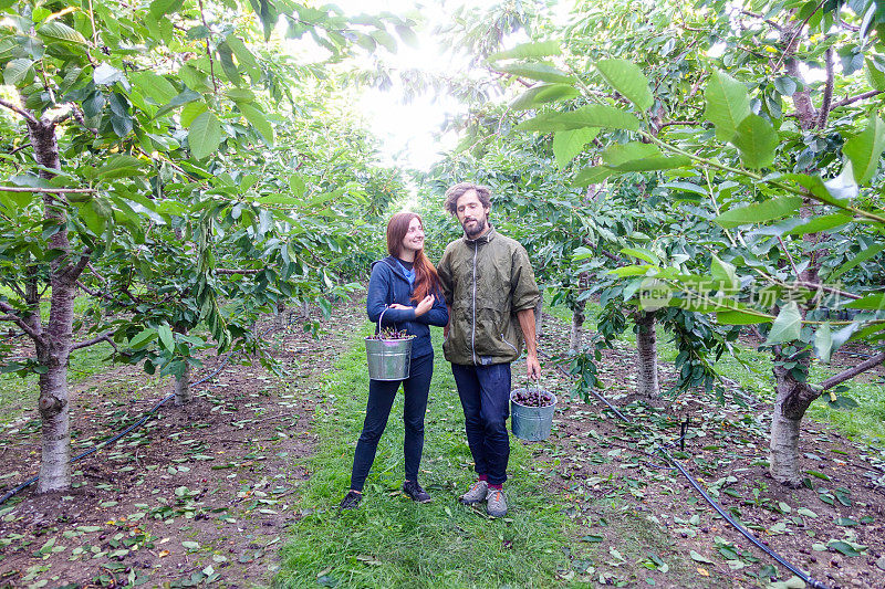 摘樱桃的人-一对年轻的夫妇捧着装满樱桃的篮子，微笑着在果园里