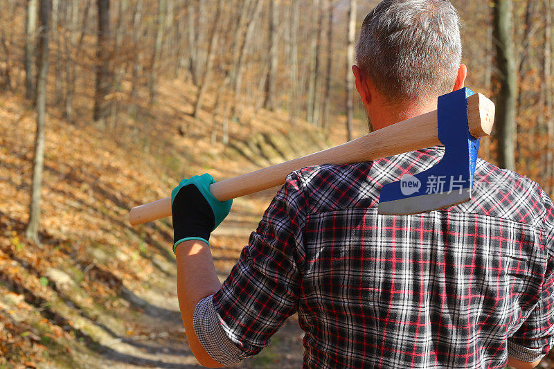 在秋天的一个晴朗的日子里，成年伐木工人拿着斧头在森林里
