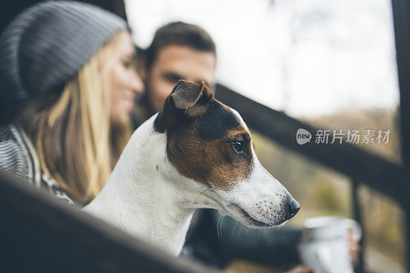 可爱的小猎犬的简介和他的人类户外