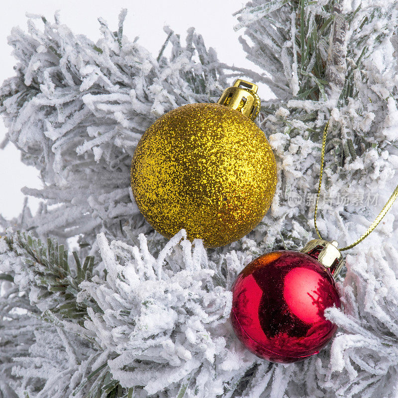 红色和黄色的圣诞球挂在白雪覆盖的松树树枝上