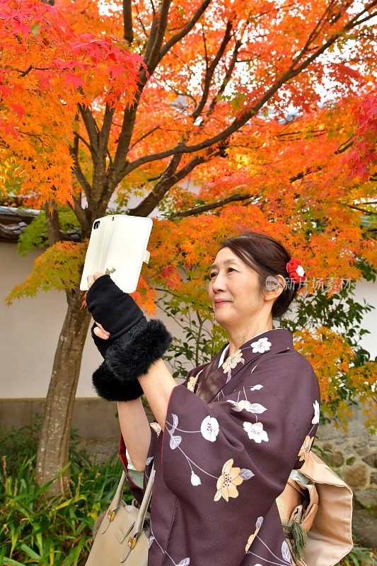 穿着和服的日本妇女在京都拍摄秋叶