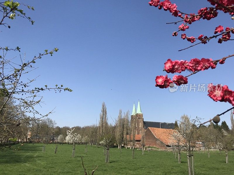 全景春天的风景