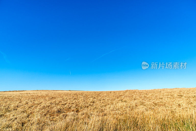 布雷肯灯塔上的威尔士高沼地风景