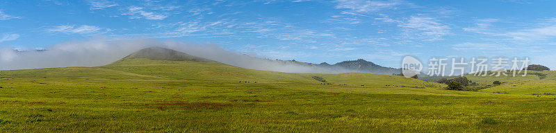 从太平洋升起的低云包围的小山的全景。加州圣西蒙，卡布里洛高速公路附近，阿罗约德尔奥索。有风的阳光明媚的春日。超宽的缝合全景图