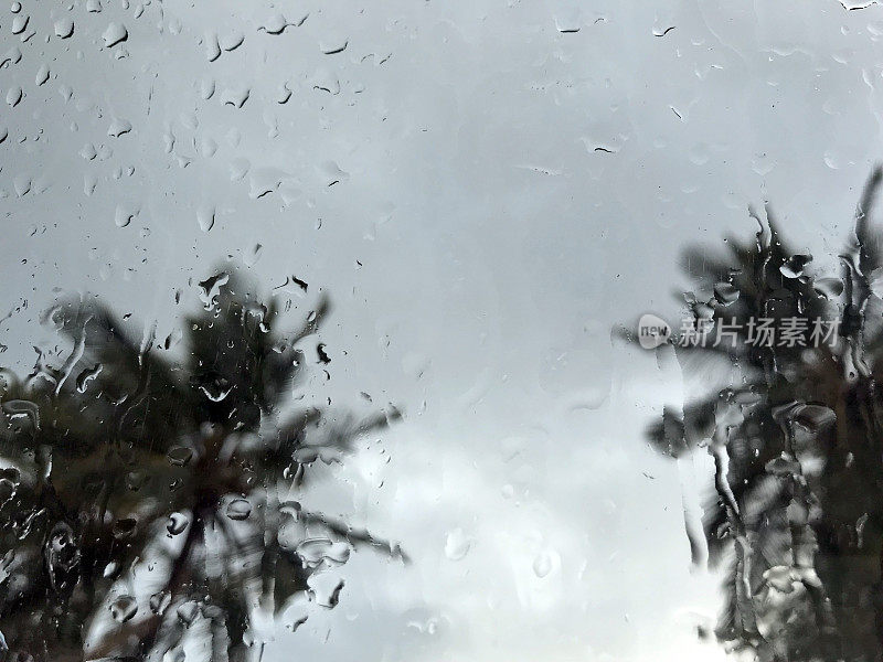 棕榈树和雨滴落在窗户上，凯卡哈海滩，考艾岛南端，夏威夷