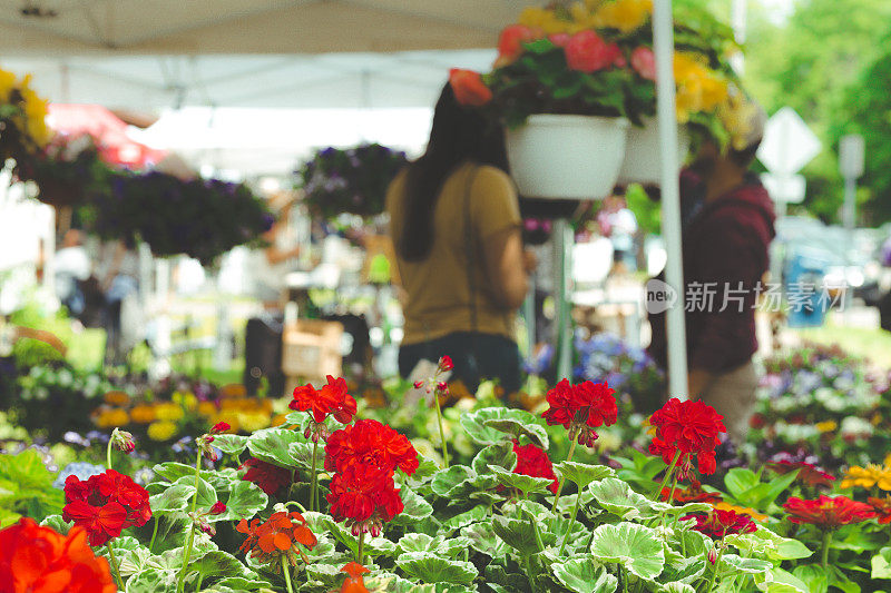 农贸市场的夏日鲜花，吊篮
