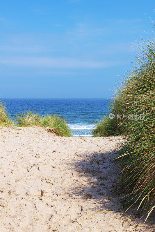 在英国诺森伯兰郡海岸，一条穿过长草通向海边的沙小径。