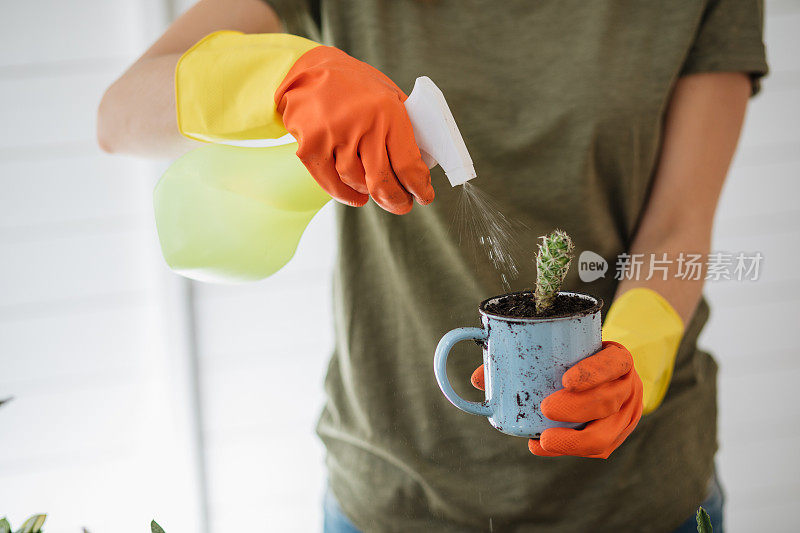 一个女人在给家里的植物浇水