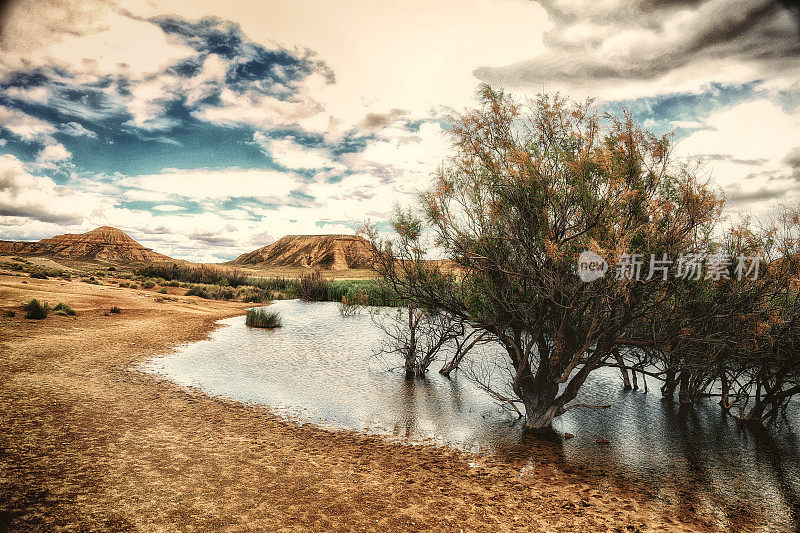 皇家Bardenas