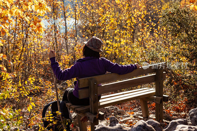 秋天里，一名成年女子坐在森林里的公园长椅上