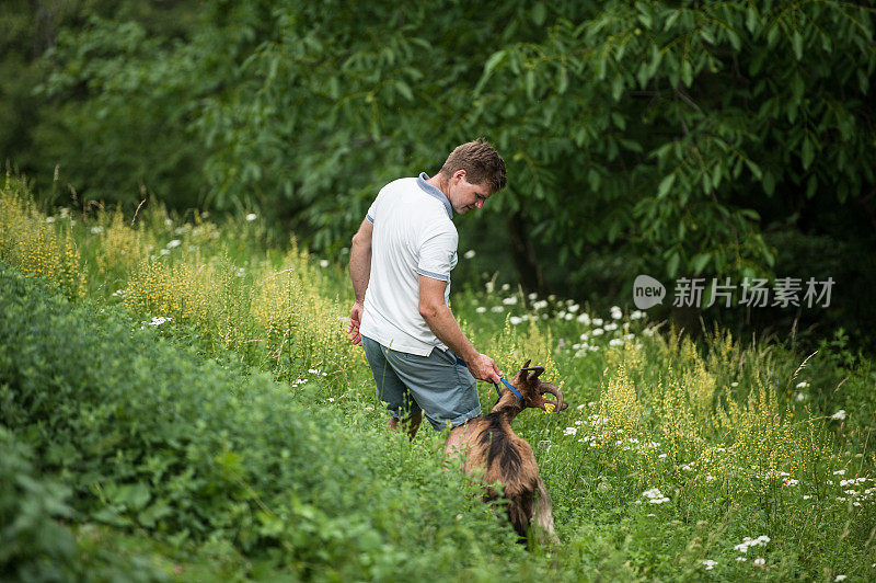 夏日牧场上的年轻农夫和他的山羊