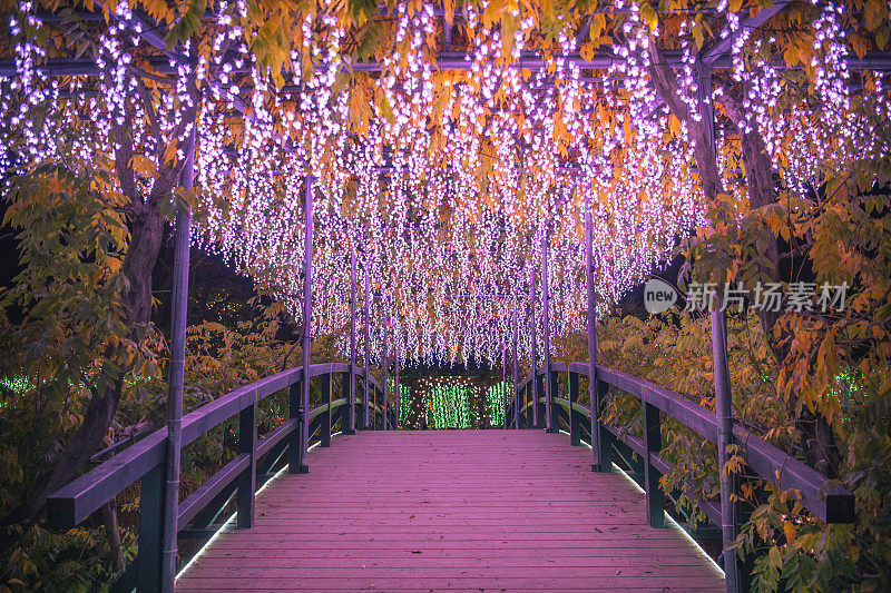 模糊的散景抽象背景对设计新年和圣诞节的概念有用