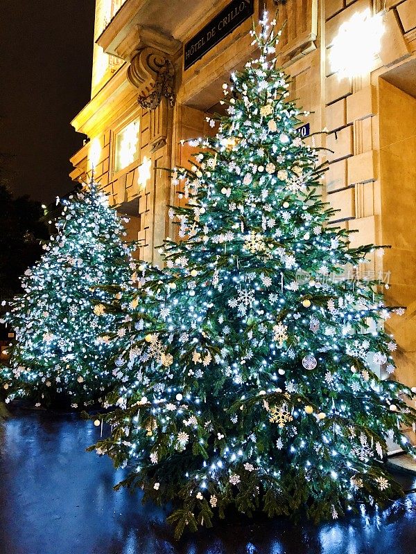 美丽的圣诞树，在巴黎-法国