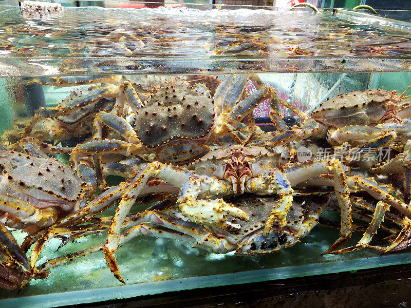 香港西贡镇餐厅水池中的阿拉斯加帝王蟹