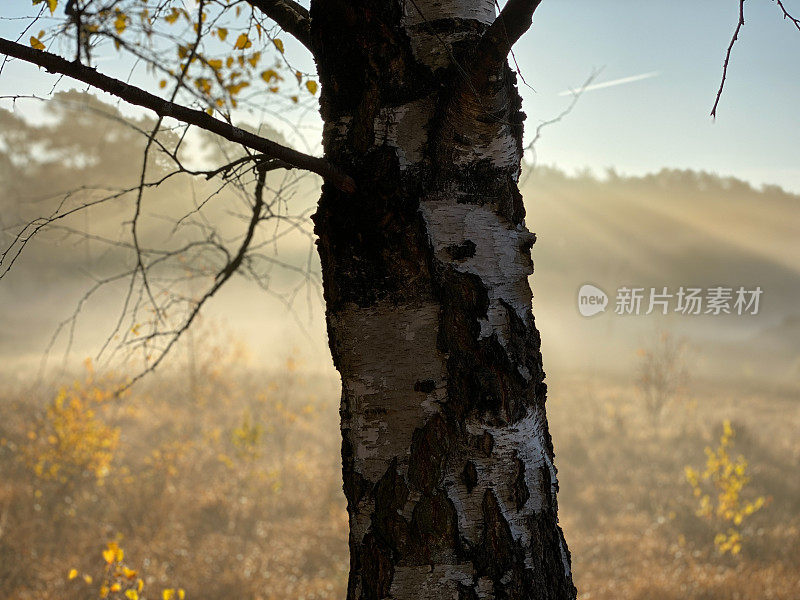 荒原上灿烂的日出