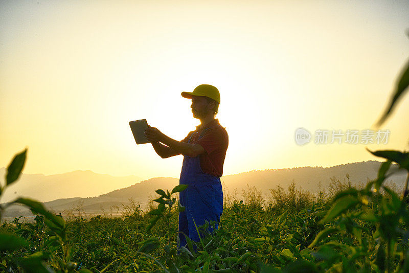 年轻的法默正在使用数字平板电脑