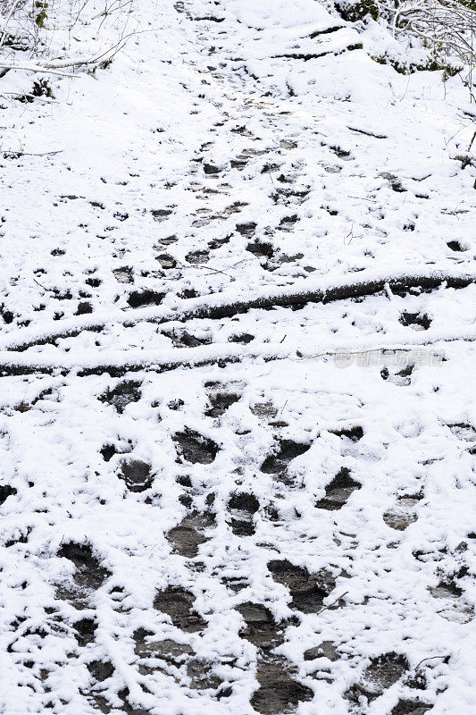 冬末春初降雪后潮湿泥泞的徒步路线