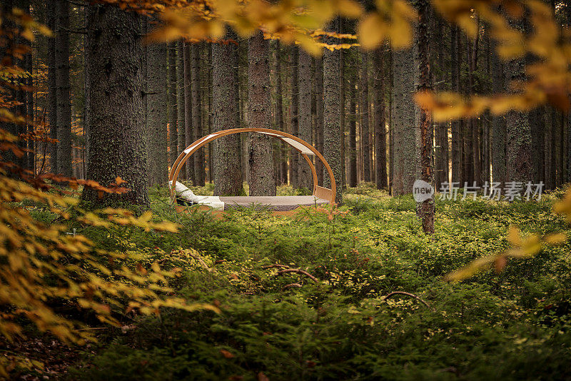 圆形的床坐落在秋天的森林中