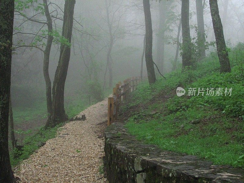 山间雾蒙蒙的小路