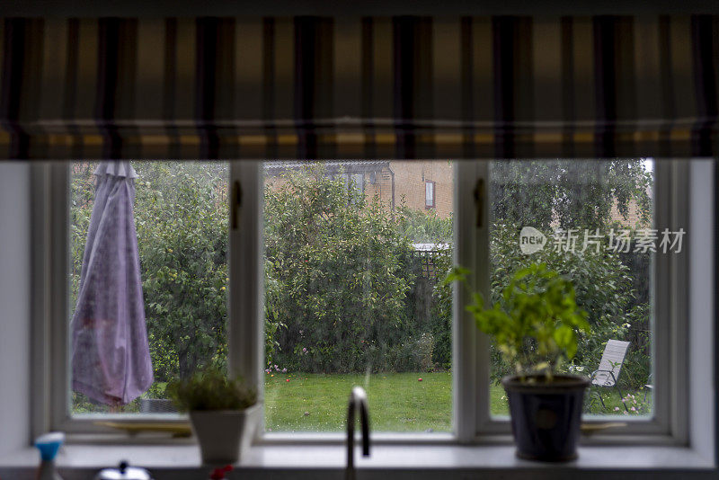 下雨天从厨房窗户看到的后花园