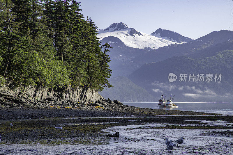 冰川河在美丽的阿拉斯加遇见大海的长视野