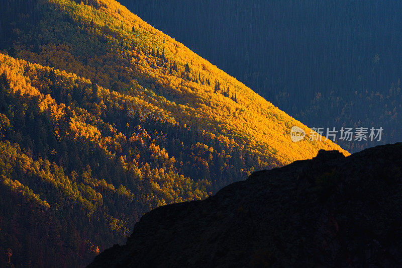 秋天的白杨树和山景