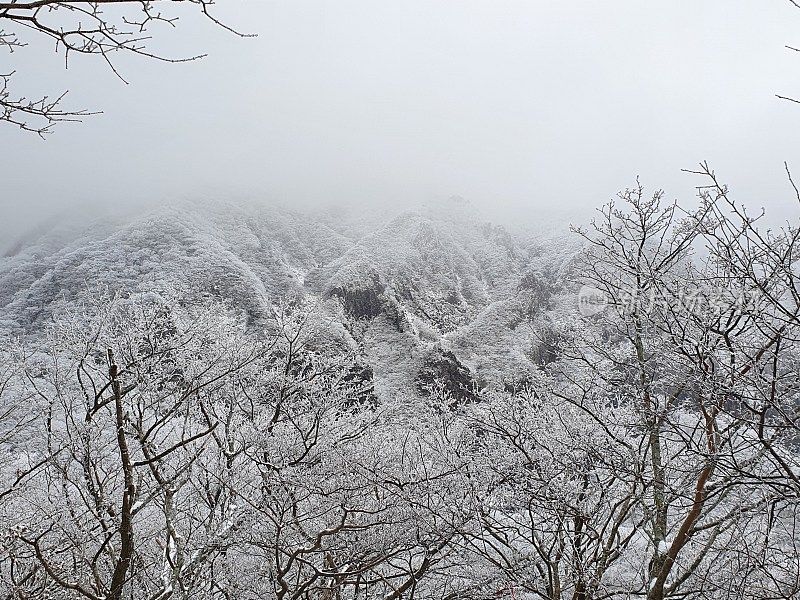 济州岛的第一场雪