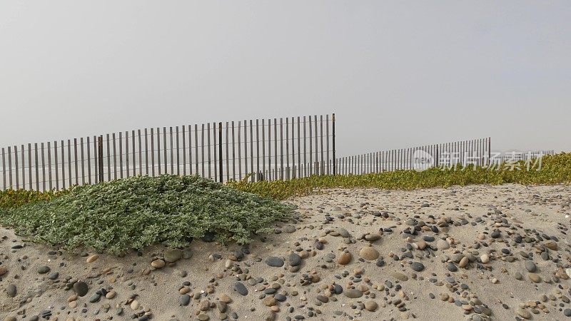 木制尖桩栅栏，沙质多雾的海滩，美国加利福尼亚。太平洋海岸，雾霾在海岸。