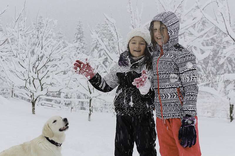 女孩们带着狗在雪地里玩得很开心