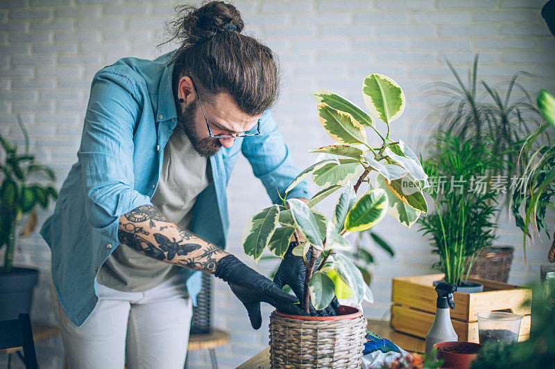 给家里的植物浇水