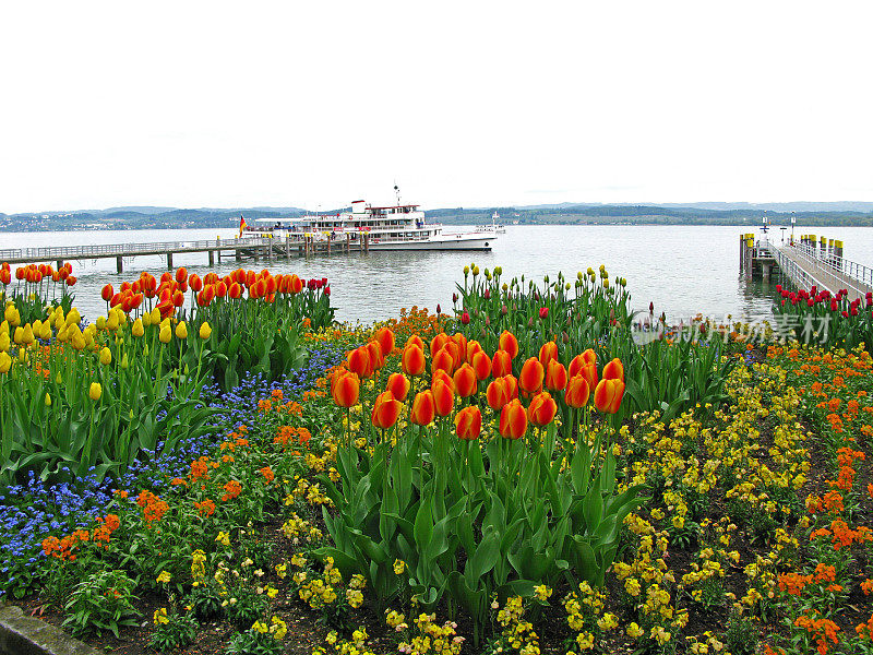 康斯坦斯湖的花坛