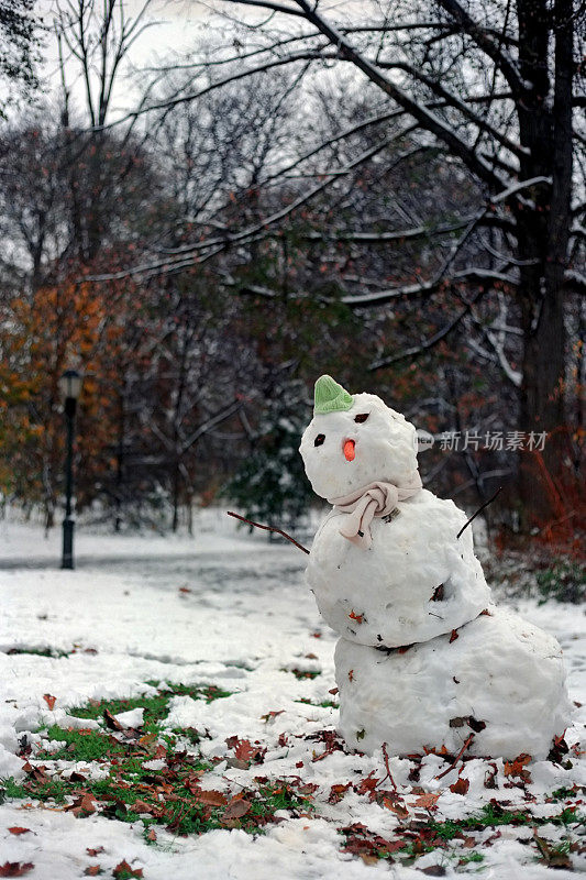 有胡萝卜鼻子和小树枝胳膊的雪人