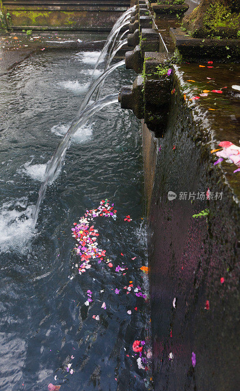 水喷泉浮动花瓣池印度尼西亚巴厘岛