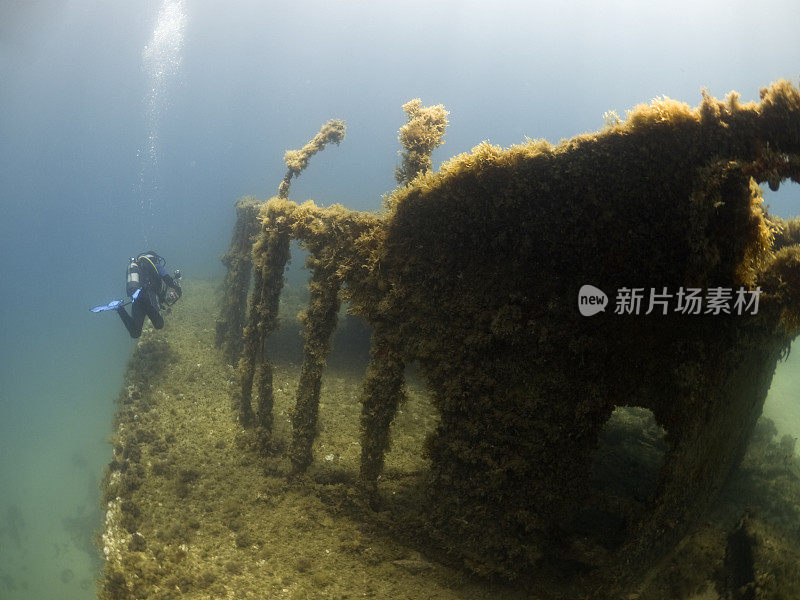 水肺潜水员调查沉船