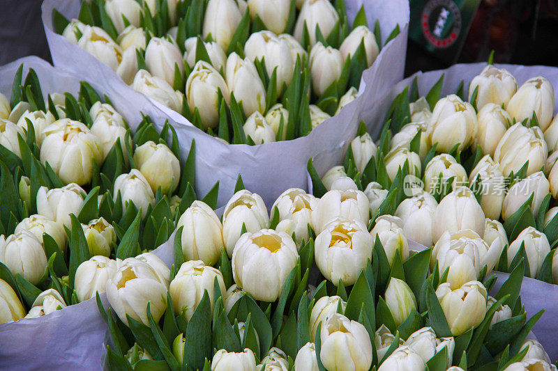 荷兰:阿姆斯特丹的花卉市场