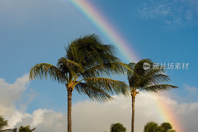毛伊岛的彩虹