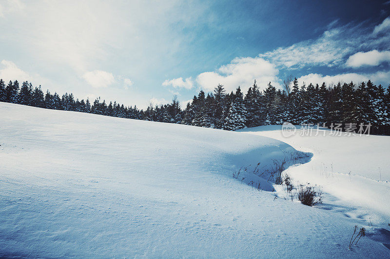 白雪皑皑的草地