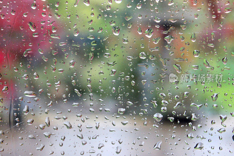 雨点落在窗玻璃上，模糊了花园的景色