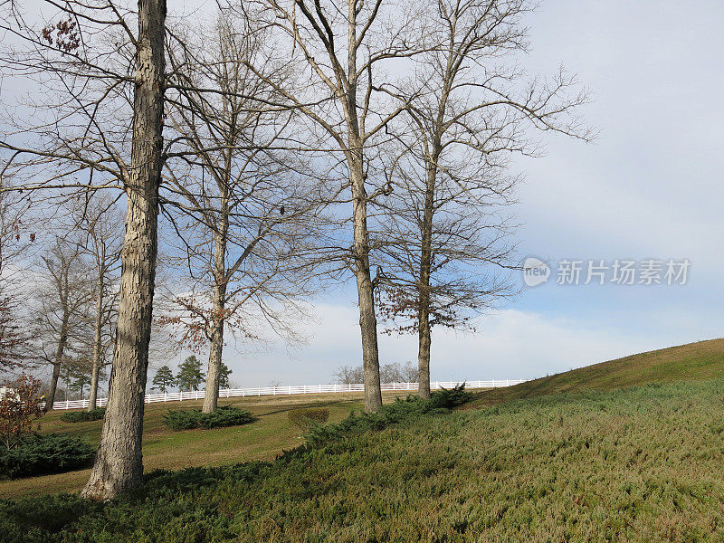 白色尖桩篱笆田野，山，树木宁静的阿拉巴马农场景观