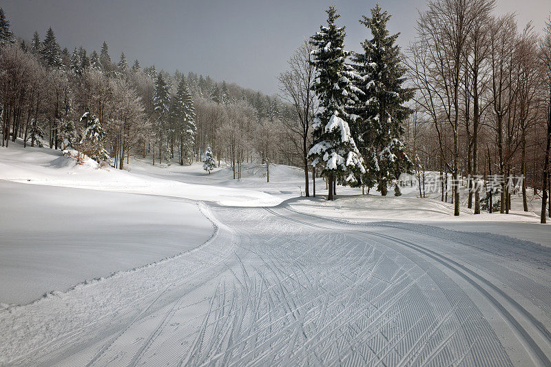 越野滑雪道在雪的冬天斯洛文尼亚