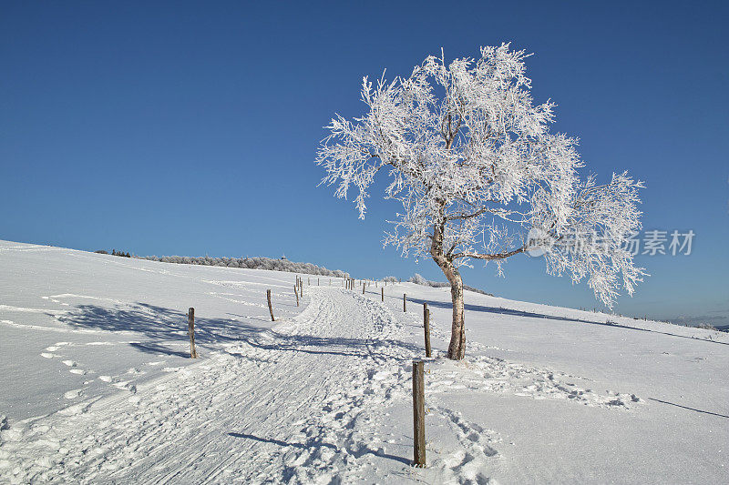 冬天的雪景与小路在黑森林