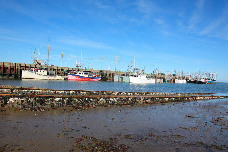 新斯科舍省梅特根码头退潮的船只。