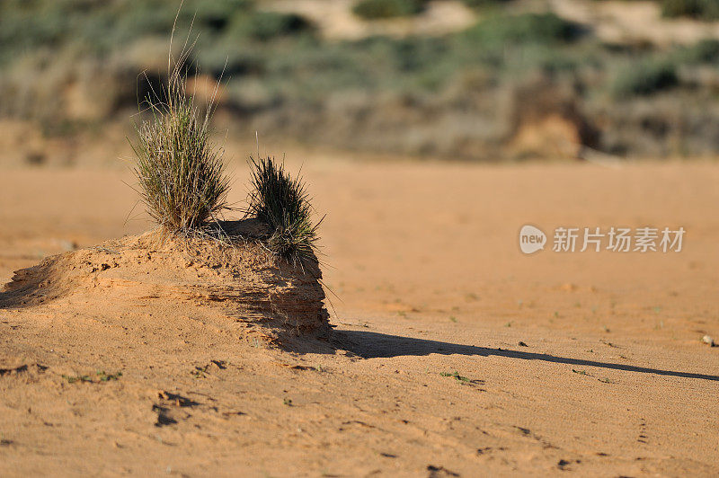 澳大利亚内陆地区,