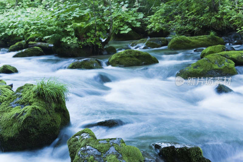 早上山涧