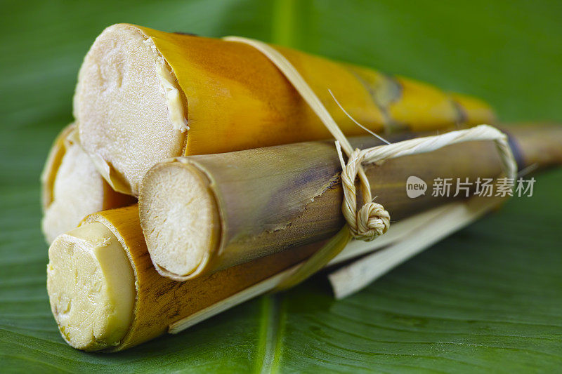 市场新鲜清蒸泰国竹笋。