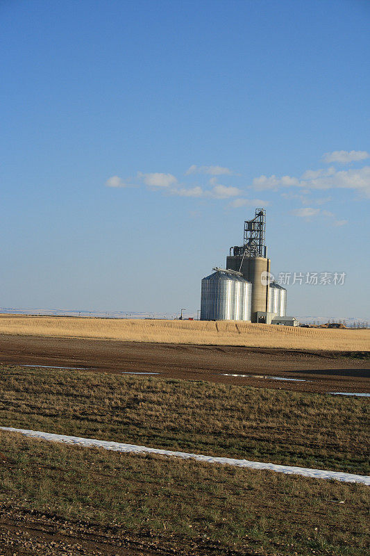 艾伯塔省田地里新的谷物储存升降机