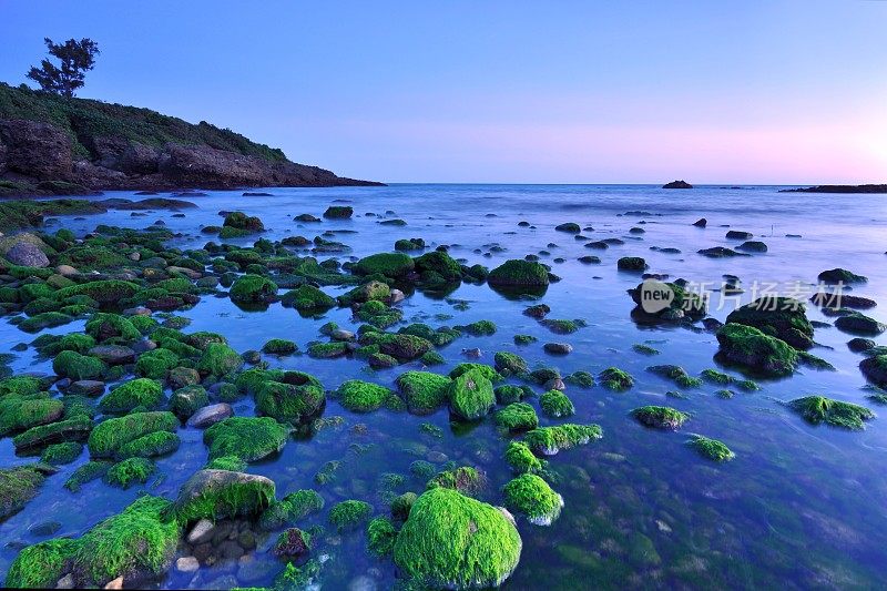 宁静的海景