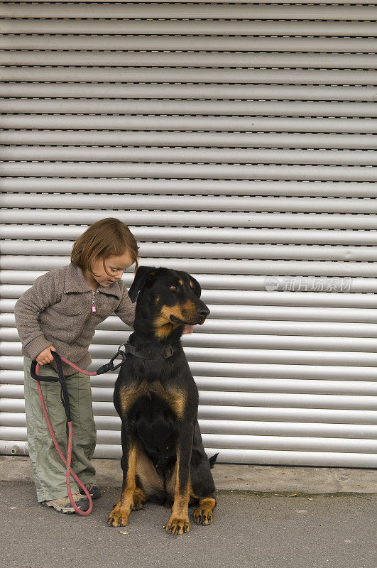 可爱的小女孩抱着一只法国牧羊犬