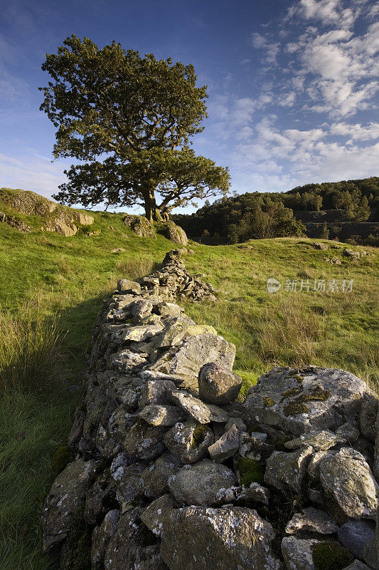 英国乡村沿山的石头栅栏
